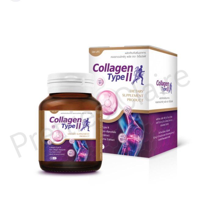 COLLAGENE TYPE II