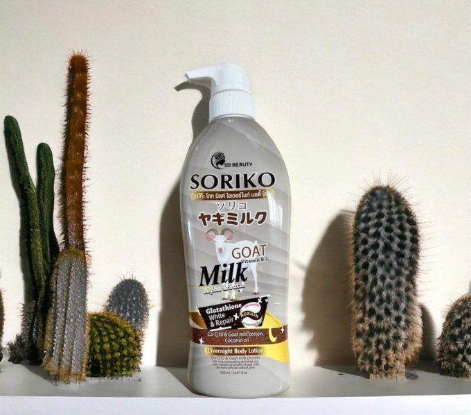 SORIKO AU LAIT DE CHEVRE